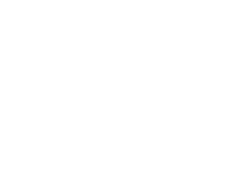 saint wild